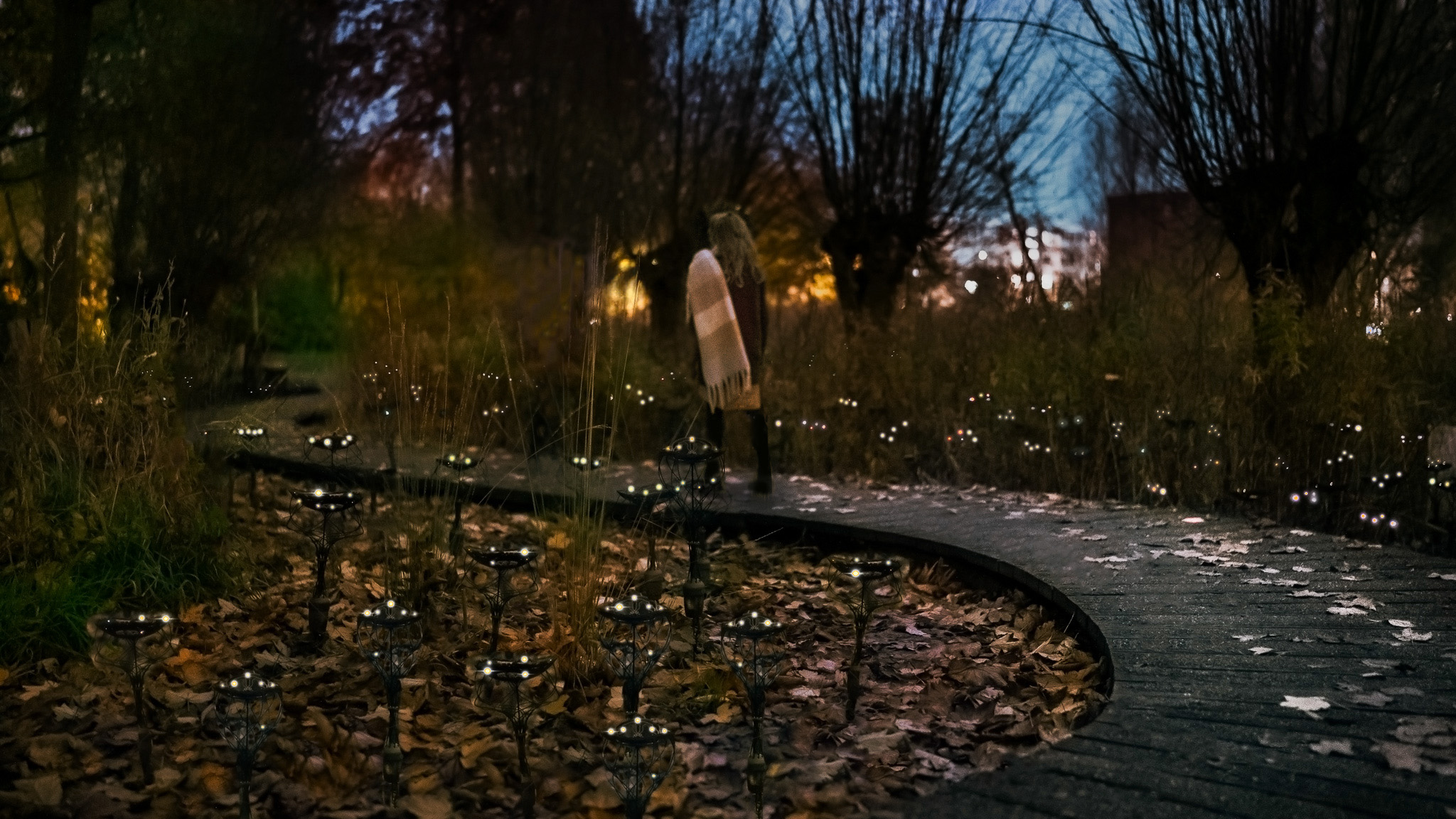 HetParkVanMorgen-Foto-1-V3_LR