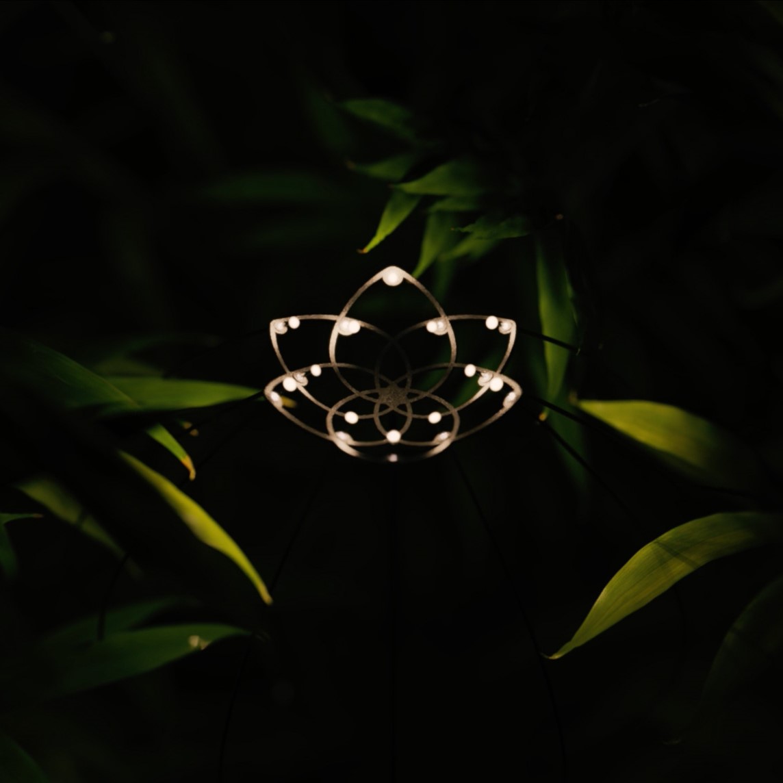 In-lite-x-Nova-Innova_LR-1 square