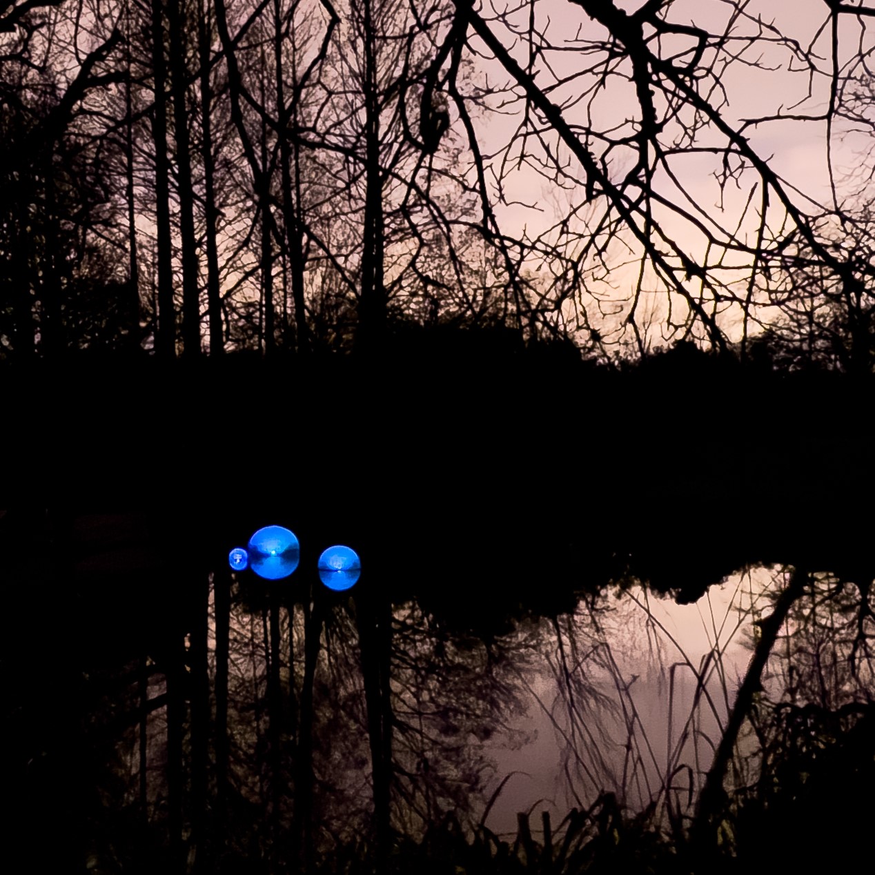 POND Rotterdam Zoo_02_Credits Nova Innova square